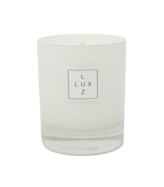 Coconut & vanilla scented candle